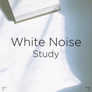 收聽BodyHI的White Noise歌詞歌曲