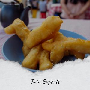 ดาวน์โหลดและฟังเพลง Twin Experts พร้อมเนื้อเพลงจาก Cati Gaid