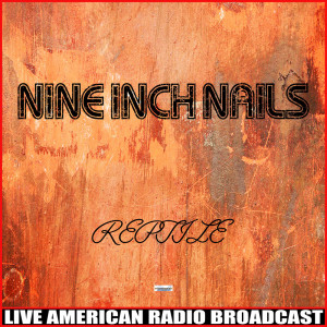 收聽Nine Inch Nails的Terrible Lie (Live)歌詞歌曲