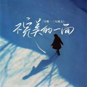 Album 不完美的一面 from 王唯一