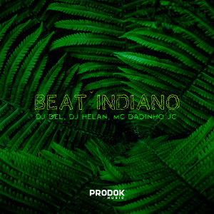 收聽Dj Del do Megatron的Beat Indiano歌詞歌曲