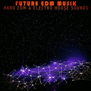 Listen to Future Musik (Electro Scienctist Mix) song with lyrics from EMC2