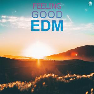 Album Feeling Good EDM from 