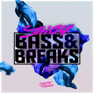 Various Artists的專輯Strictly Bass & Breaks