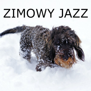 อัลบัม Zimowy Jazz ศิลปิน Various