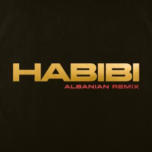 收聽Ricky Rich的Habibi (Albanian Remix)歌詞歌曲