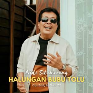 Listen to Halungan Bubu Tolu song with lyrics from Andi Situmorang