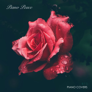 收聽Piano Peace的Save Me歌詞歌曲