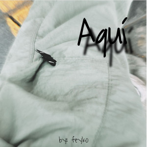 Listen to Aqui song with lyrics from Feyko