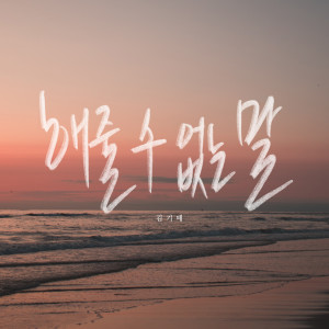 Album 해줄 수 없는 말 (Things I  Can't say) from 김기태