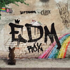 ดาวน์โหลดและฟังเพลง EDM Rox พร้อมเนื้อเพลงจาก FTampa