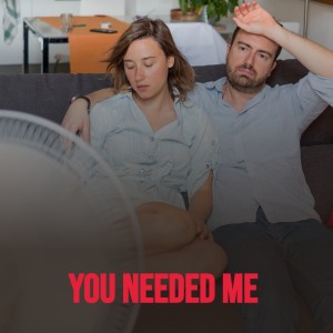 ดาวน์โหลดและฟังเพลง You Needed Me พร้อมเนื้อเพลงจาก Ferlin Husky & The Hushpuppies