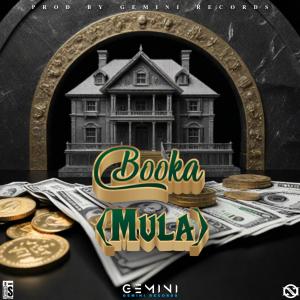 GEMINI RECORDS的專輯Mula (feat. Booka) [Explicit]