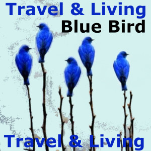 收聽Travel & Living的Blue Bird歌詞歌曲