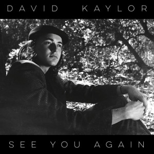 Album See You Again from David Kaylor