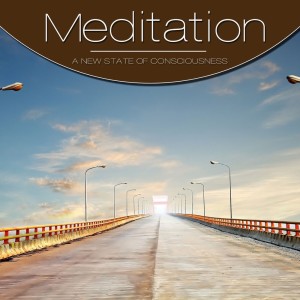 Meditation String的專輯Meditation, Vol. Brown, Vol. 2
