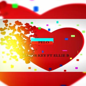 อัลบัม Pelo (feat. Ellie B) ศิลปิน ELLIE B