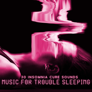 收聽Deep Sleep Hypnosis Masters的Cloud Castle歌詞歌曲