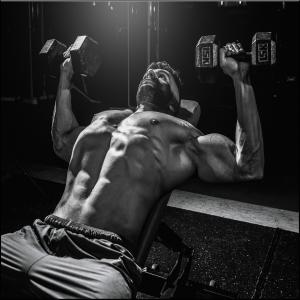 Dengarkan The Gentle Balance lagu dari Gimnasio de motivación dengan lirik