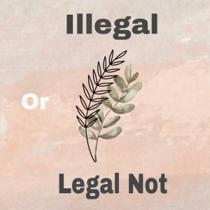 收聽Manu的Illegal or Legal Not歌詞歌曲