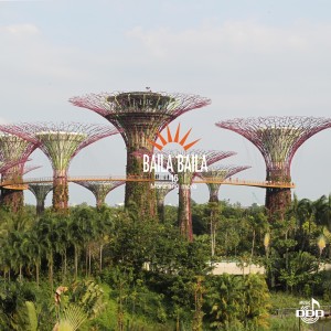 ดาวน์โหลดและฟังเพลง Cal Xico พร้อมเนื้อเพลงจาก Various Artists