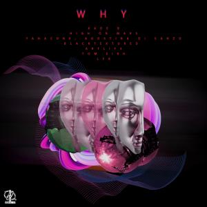 Listen to Why (Tom Eirh Remix) song with lyrics from Kade B