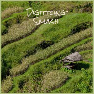 Various的专辑Digitizing Smash