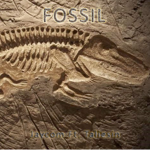 Listen to Fossil song with lyrics from Jaycom