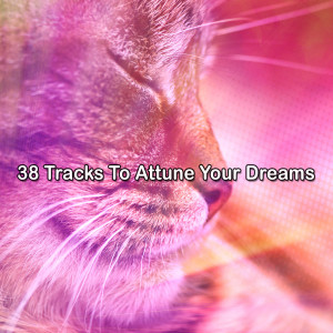 Album 38 Tracks To Attune Your Dreams oleh Chill Beats Music