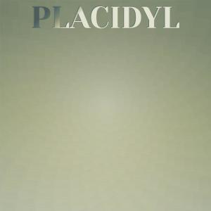 Various Artists的專輯Placidyl