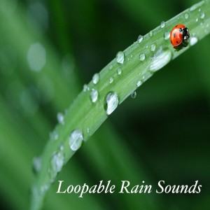 Loopable Rain的專輯Loopable Rain Sounds: Trouble Sleeping, Insomnia, Relaxation, Meditation