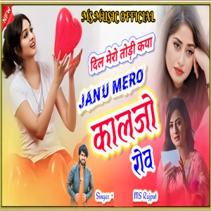 Album Dil Mero Todi Kaya Janu Mero Kaljo Rov from Mangal Singh