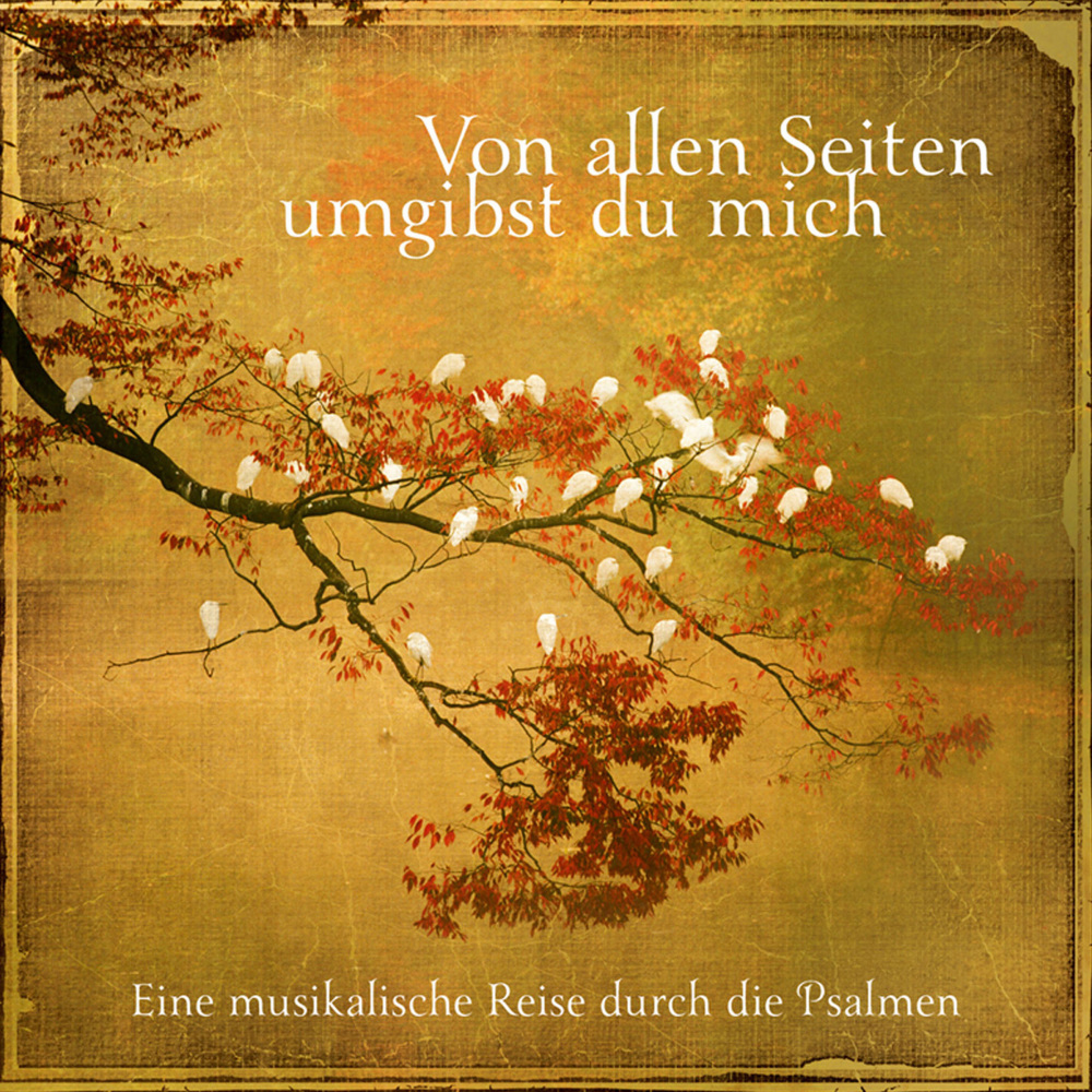 Ich komm zur Ruh bei Gott allein - Psalm 62