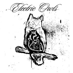 ดาวน์โหลดและฟังเพลง Magic Show พร้อมเนื้อเพลงจาก Electric Owls