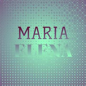 Dengarkan Tap Dance lagu dari Ellas McDaniel dengan lirik