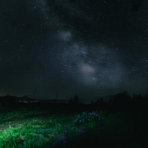 Dengarkan lagu Through the Meadows nyanyian Cloudimane dengan lirik