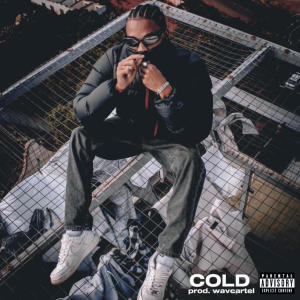 ดาวน์โหลดและฟังเพลง Cold (Explicit) พร้อมเนื้อเพลงจาก Zeeh