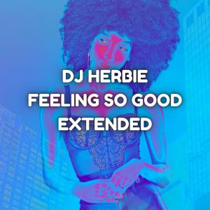 DJ Herbie的專輯Feeling so Good