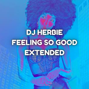 收聽DJ Herbie的Feeling so Good歌詞歌曲
