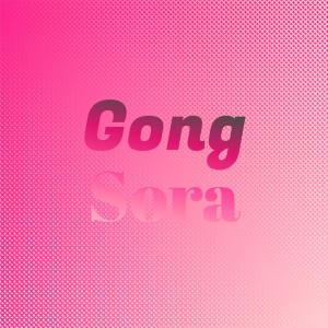 Album Gong Sora from Various