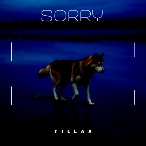 Album Sorry from Tillax