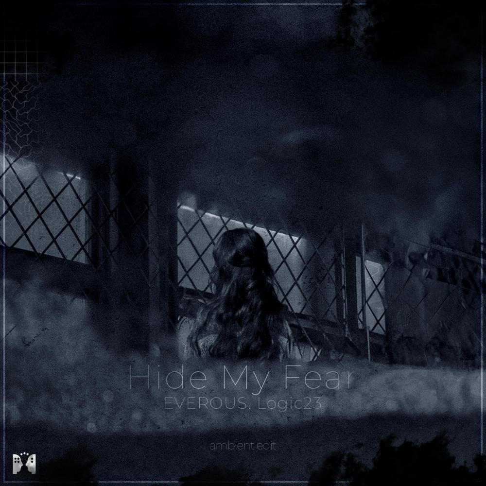 Hide My Fear (VIP Edit)