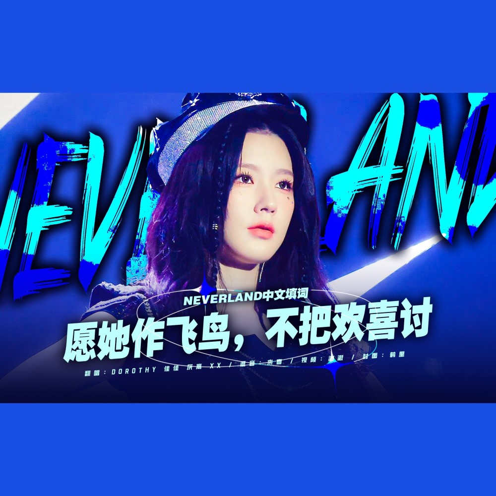 Neverland (cover: David Fagin) (完整版)