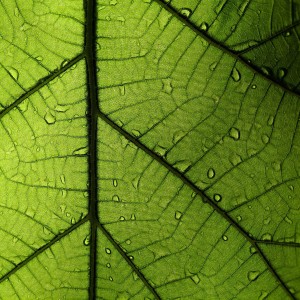 收聽Michel Francois的Bouville歌詞歌曲