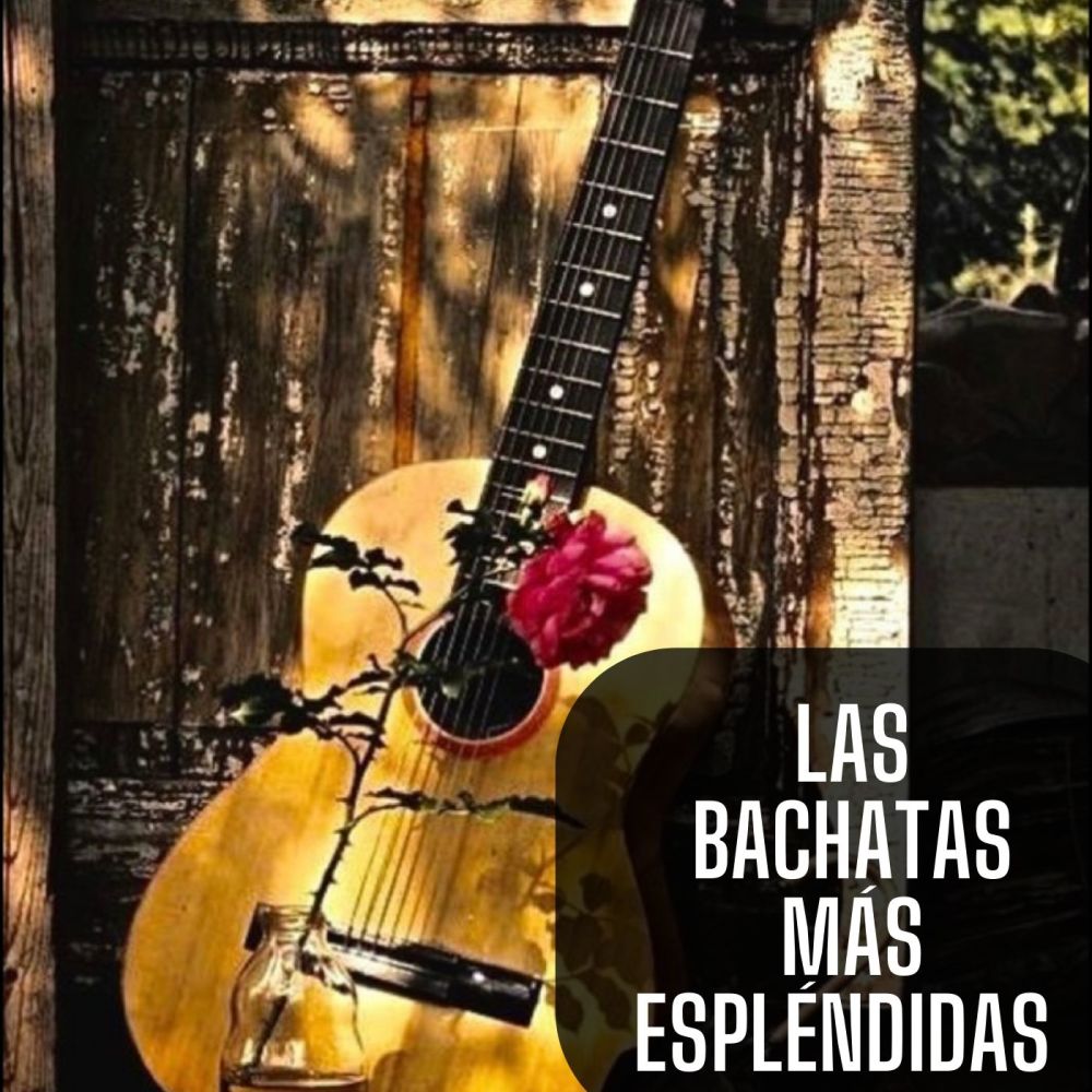 Lloro