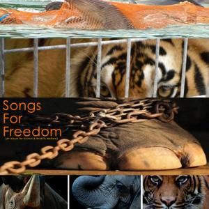 Various Artists的專輯Songs For Freedom