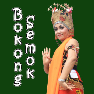 Listen to Bokong Semok song with lyrics from Samini