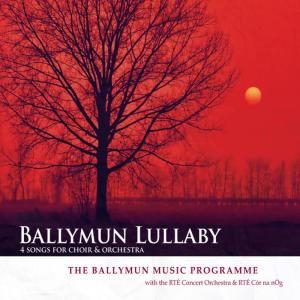 ดาวน์โหลดและฟังเพลง The Toys' Waltz พร้อมเนื้อเพลงจาก The Ballymun Music Programme