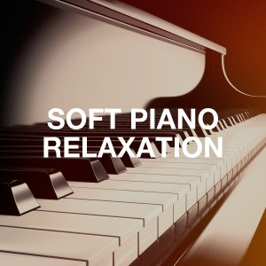 Album Soft Piano Relaxation oleh Relaxation Study Music