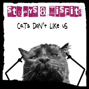Cats Don't Like Us (Explicit) dari Strays